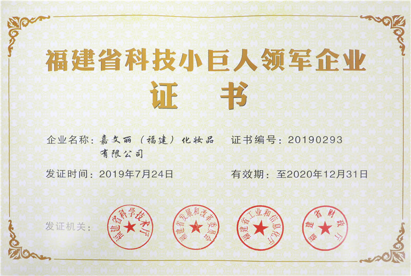 福建省科技小巨人领军企业证书.jpg