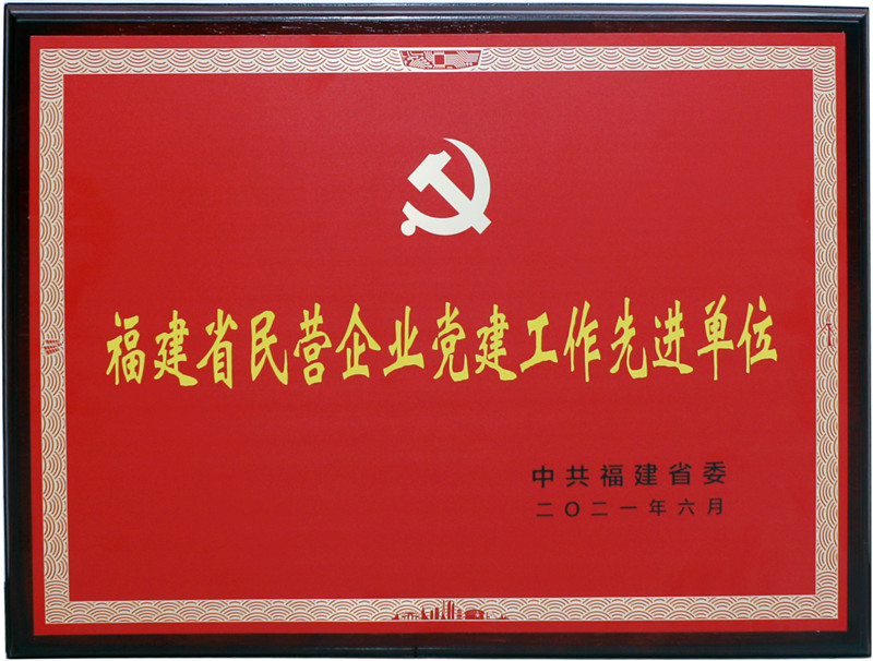 民营企业党建工作先进单位牌匾.jpg